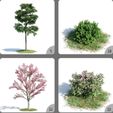 VyLeNFB1.jpeg Flower And Bush Pot Plant Home 3D Model 9-12