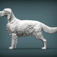 English-Setter1.jpg English Setter 3D print model