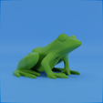 0008.png Frog stylized