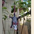 3.jpg Hanging Opossum