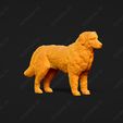 1855-Bernese_Mountain_Dog_Pose_01.jpg Bernese Mountain Dog 3D Print Model Pose 01