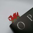 IMG_20200207_110217.jpg Welsh Dragon Bookmark
