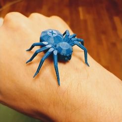 6928c23bc909c860aad99a4db033c684_preview_featured.jpg Torture Spider, 3D-printer torture test - overhangs - cooling - retraction