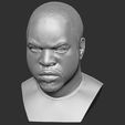 14.jpg Ice Cube bust 3D printing ready stl obj formats