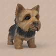 YT04.png Cute Puppy Yorkshire Terrier STL and VRML