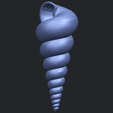 20_TDA0487_spiral_shellB03.png spiral shell