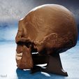 homo-naledi-skull-model.jpg Homo naledi skull reconstruction
