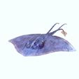 H.jpg DOWNLOAD Manta Ray 3D MODEL - ANIMATED - FOR 3D PROJECT AND 3D PRINTING - BLENDER FILE - 3DS MAX FBX - MAYA - UNITY - C4D - UNREAL - sea - monster - fantasy - fish