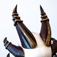 IMG_9878.jpg Horns collection 2