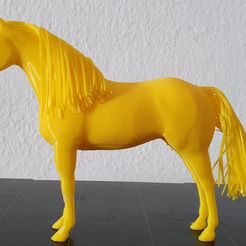 caballo4.jpeg Fast horse