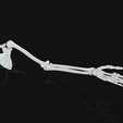 Upper_limb_2023-Oct-09_07-17-53PM-000_CustomizedView24043137374_png.png HR Segmented Left upper limb bones, Hand, Arm and Shoulder