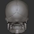 hgjghjghj.jpg Skull head for action figures