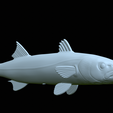 Barracuda-base-38.png fish great barracuda / Sphyraena barracuda statue detailed texture for 3d printing