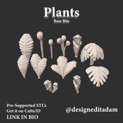 Bits_Plant.jpg Plant Base Bits