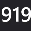 919