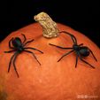 spider_instagram_02.jpg Archivo STL gratuito La araña viuda negra・Design para impresora 3D para descargar