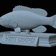 White-grouper-statue-42.png fish white grouper / Epinephelus aeneus statue detailed texture for 3d printing