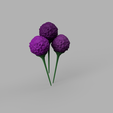 aglio_2022-May-14_03-15-14PM-000_CustomizedView15001173470_png.png Flor de alho