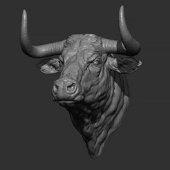 7.jpg Bull head