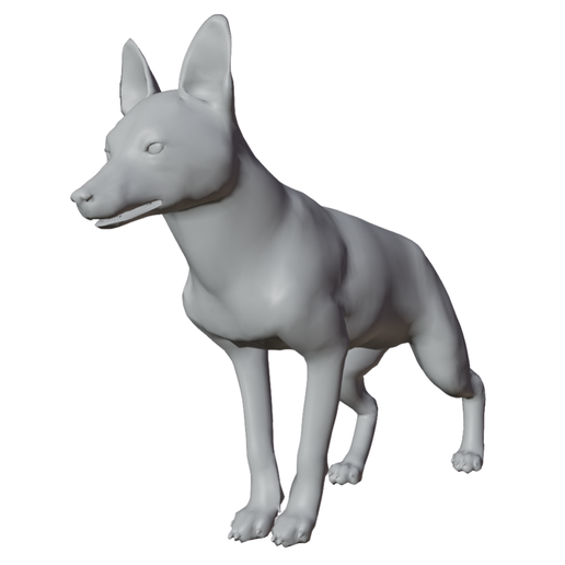 Standing Canine Model