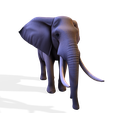 003.png Низкополигональный слон Саванна 3D модель