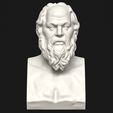 socrates-1-9.jpg Sokrates Büste Skulptur