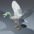 0007.png Photorealistic duck - posable/rigged [stl file included ]
