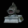 White-grouper-open-mouth-statue-7.png fish white grouper / Epinephelus aeneus open mouth statue detailed texture for 3d printing