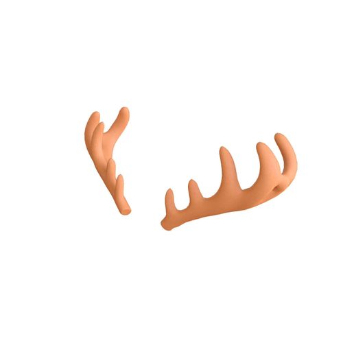 Deer_4.jpg Deer Antler