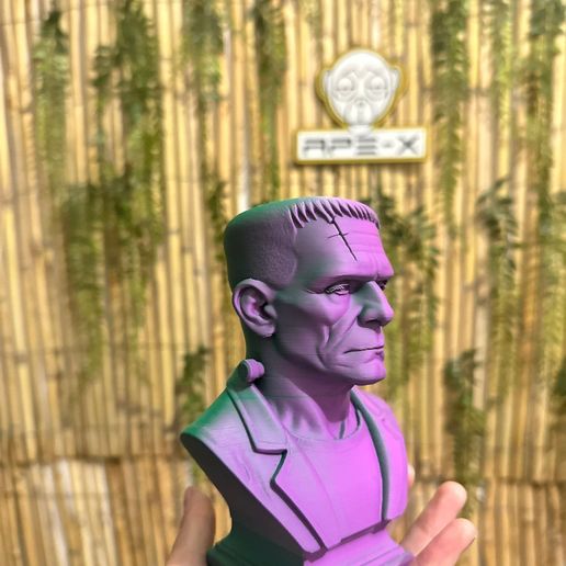 WhatsApp-20Image-202025-09-30-20at-2022.45.32.jpeg Frankenstein