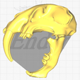 image-2025-08-05T124845.360.png 3D Model of Sabretooth Skull - Smilodon fatalis