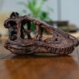 Life size baby T-rex skeleton - Part 01/10