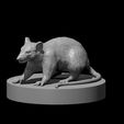 Giant_Rat.JPG Misc. Creatures for Tabletop Gaming Collection