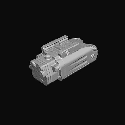 Steiner Dbal-PL Real Size Scan 3D Mold