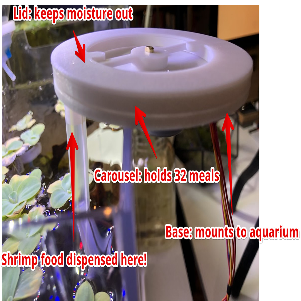 Free STL file Automatic Pellet Feeder for Shrimp Aquarium・3D print