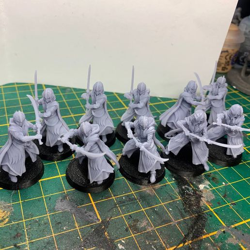 🪵 Golden Wood Elf Footmen (Glaiveman)・ STL File for ・Cults