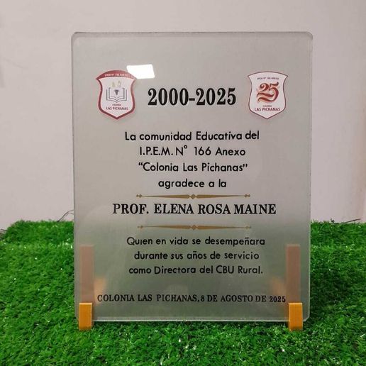 WhatsApp-Image-2025-08-07-at-18.43.34.jpeg Support Plate