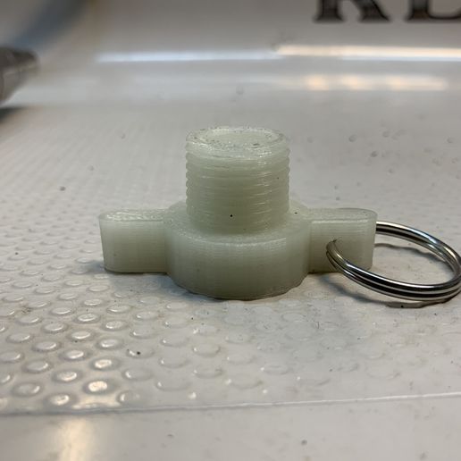 Photo_Jun_03_4_24_37_PM.jpg 1/2in NPT Quick Boat Plug Key Chain