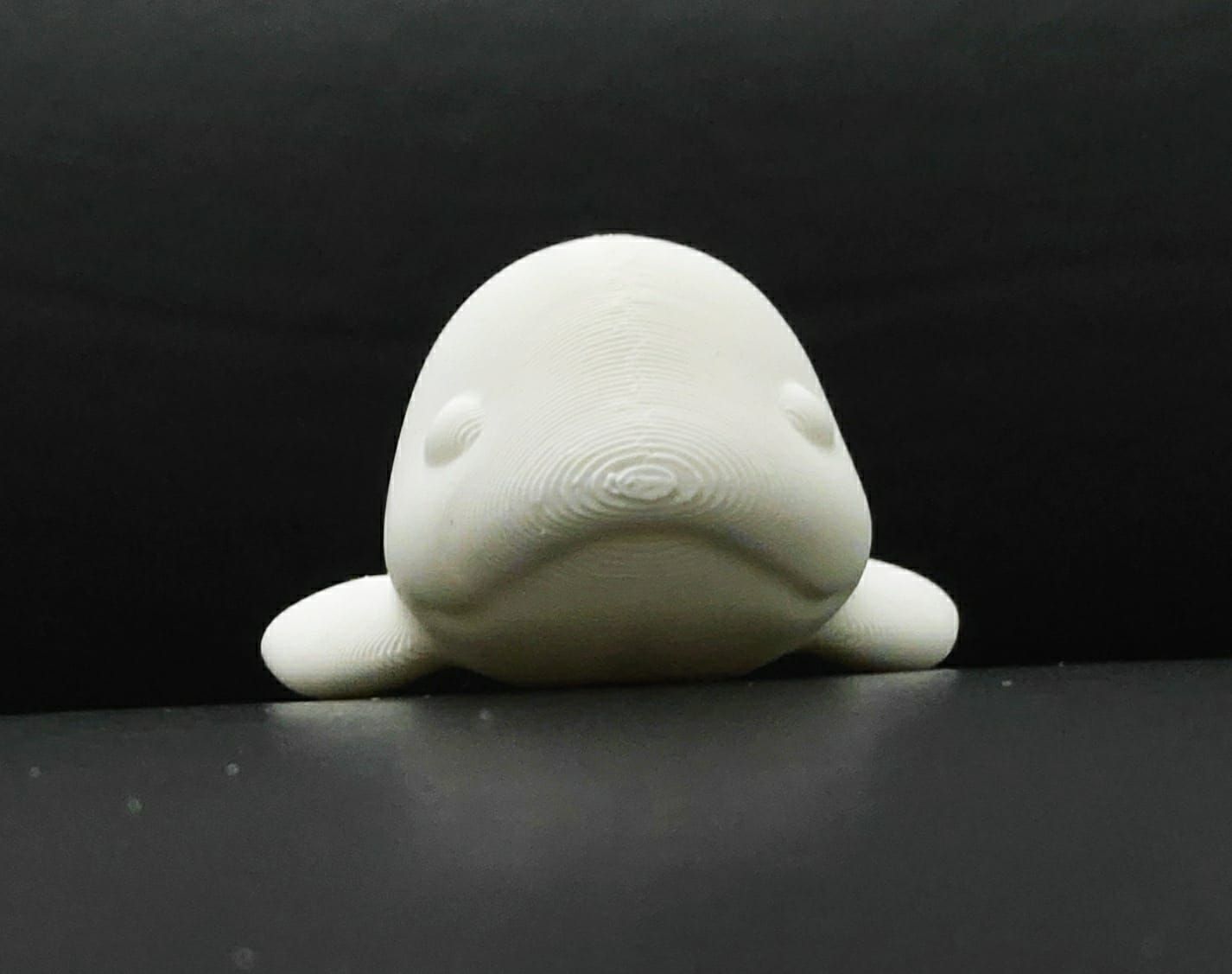 Cod2799-Beluga-Whale-10.jpeg Archivo 3D Ballena Beluga・Modelo de impresora 3D para descargar, Usagipan3DStudios