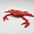 20251201_133404.jpg Flexi Hybrid Crab