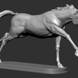 13.png Horse Running