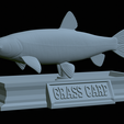 Grass-carp-statue-21.png fish grass carp / Ctenopharyngodon idella statue detailed texture for 3d printing