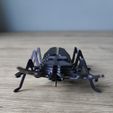 IMG20231009171614.jpg Stag Beetle Buildable Animal Figure