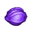 eye.stl Human Anatomy Torso Model