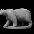 Polar_Bear.JPG Misc. Creatures for Tabletop Gaming Collection