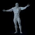 Untitled_Viewport_005.png Anatomia Humana Musculacion - Muscle Anatomy human adapted Print