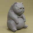 0002.png Sad and Lethargic British Shorthair Cat Figure for 3D Printing