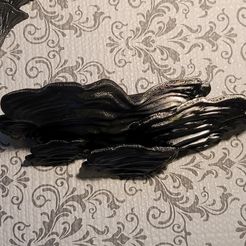 Mushroom shelf “ Stereum Ostrea”