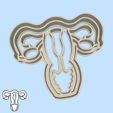 47-2.jpg Science and technology cookie cutters - #47 -  female reproductive system (style 1)
