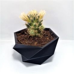 foto4.jpg Free STL file Polygonal pot Typical V1・3D printable model to download